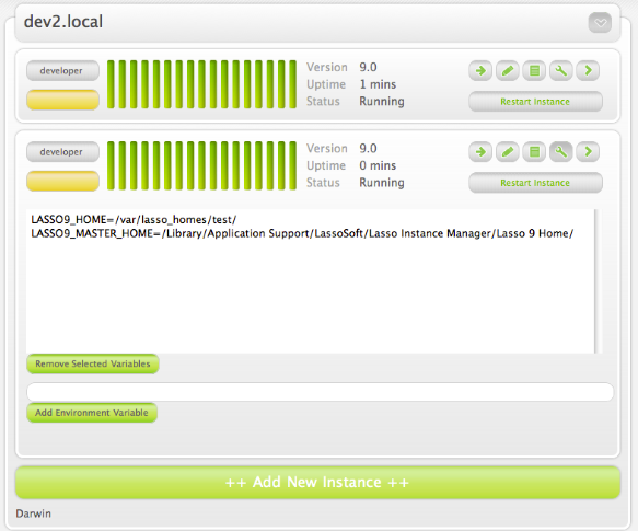 Adding Lasso 9 Instance specific variables